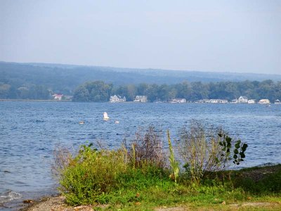 Lakeshore Houses