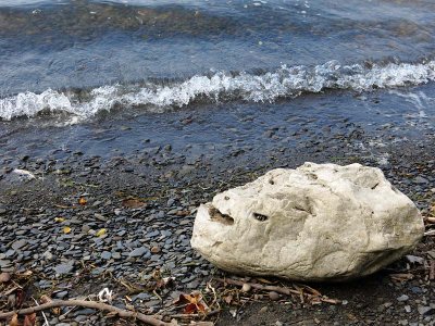 Limestone Head