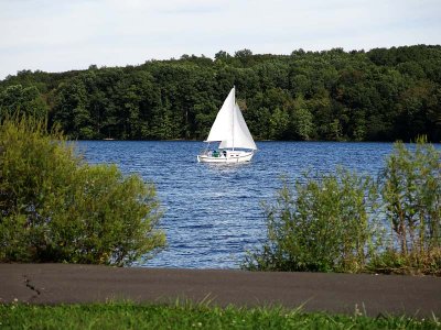 Evening Sail