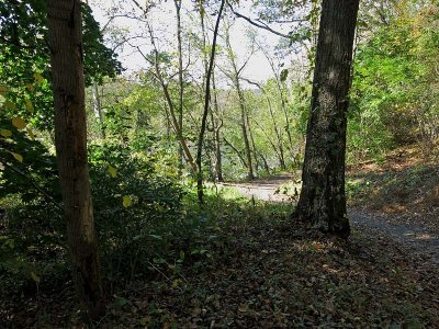 Trail Bend