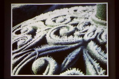 Frost Pattern