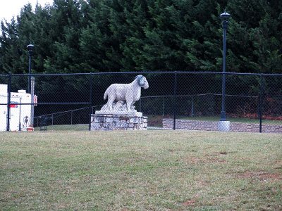 Home of the Rams!