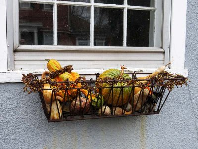 Autumn Window Box