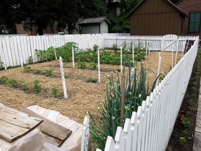 Kitchen Garden