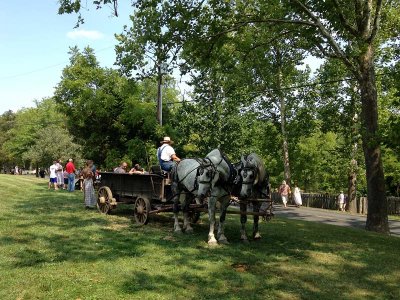 Wagon Rides