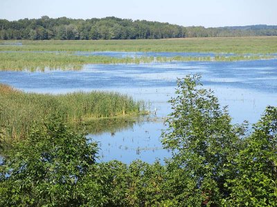 Montezuma NWR