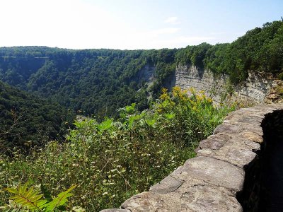 Genesee Gorge