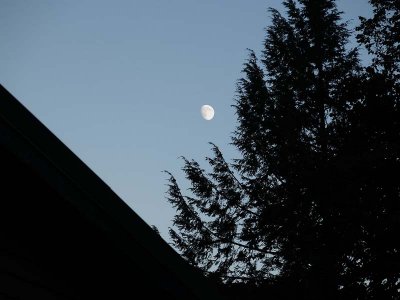 g9/93/463093/3/157625902.0ss9eCN7.jpg
