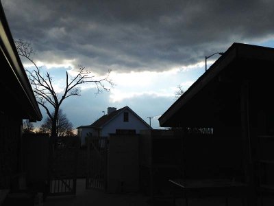 Wintry Afternoon