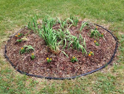 Marigold Perimeter