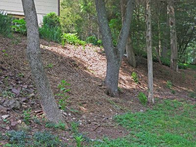 Mulched Embankment