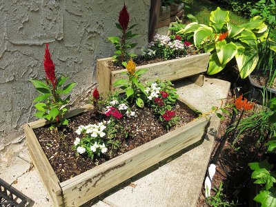 Flower Boxes