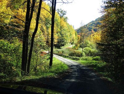 Toward Cedar Run