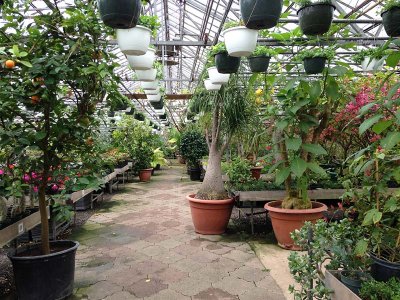 Greenhouse View