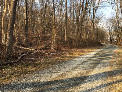 Rejoining Rail Grade