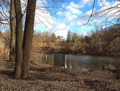 Mill Grove