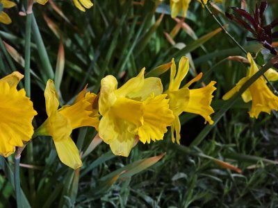 g9/93/463093/3/164765731.WDhtiI0A.jpg