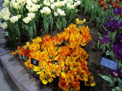 g9/93/463093/3/164765735.xw1jQJK4.jpg