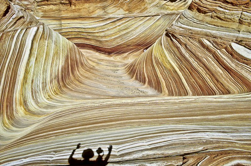 Tourisitimo in the Wave