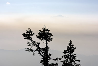Two Tree Silhouette w Buttes Above Smoke Inversion