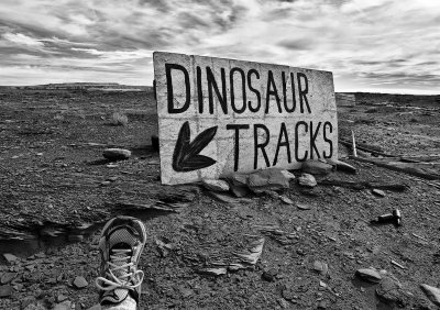 Dino Tracks and Tracker
