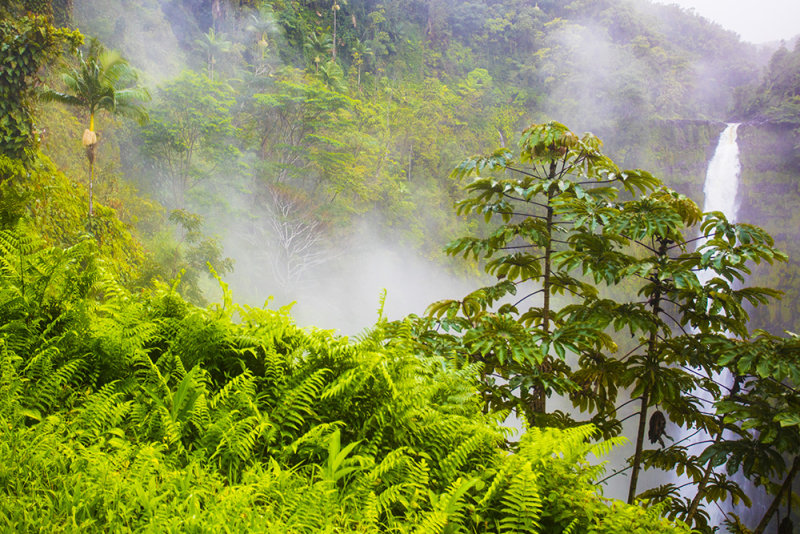 Akaka Fall