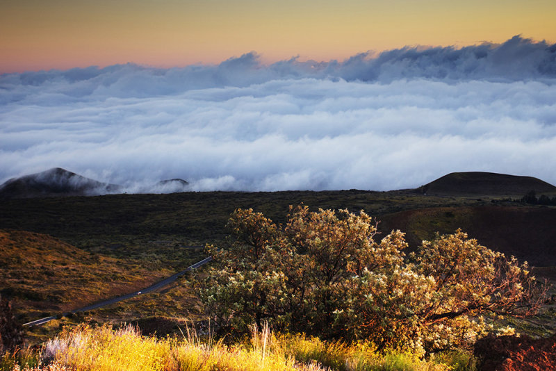 Mauna Kea