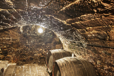 Tokaj - 200 years old wine cellary