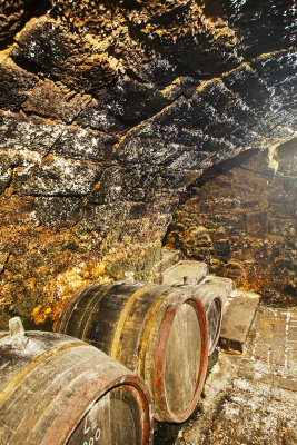 Tokaj - 200 years old wine cellary