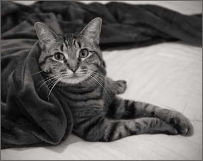 Ready for Winter