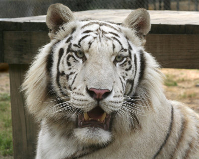 IMG_3590a 8x10gbem.jpg