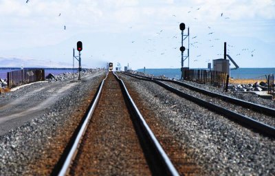 Train on causeway approaches Lakeside