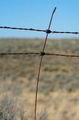 Barbed wire near Withrow, Washington