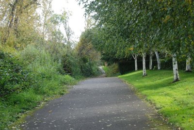 View southward toward problem area