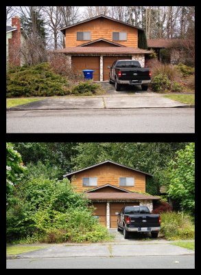 Driveway