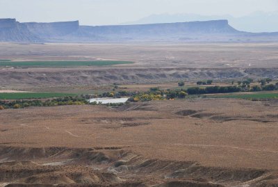 The Green River