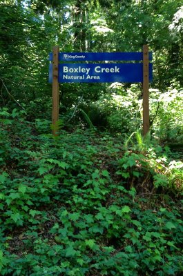Boxley Creek Natural Area... 0470