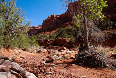 Rough ground and flood debris