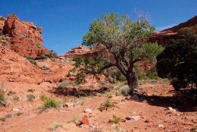 Canyon view in Valley of the Gods