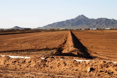 Farming near Maricopa... 20160222_4242