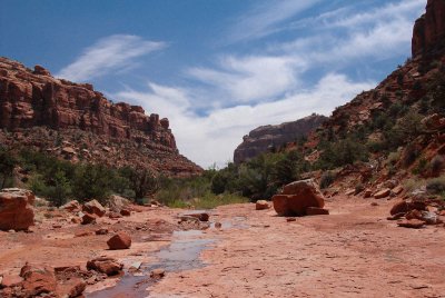 Return hike: wide streambed