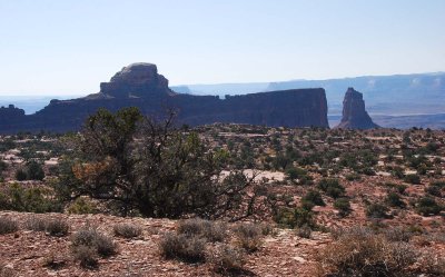 Canyonlands NP (Wilhite Trail)