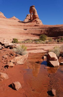 Trash at Delicate Arch