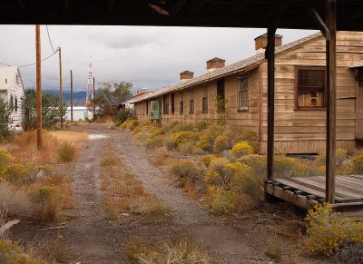 Vegetation is taking over land once used by busy people (nurses' barracks at right)