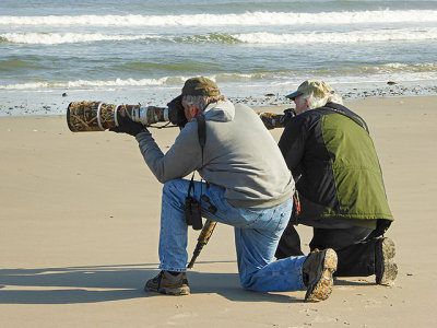 Photographing Shorebirds