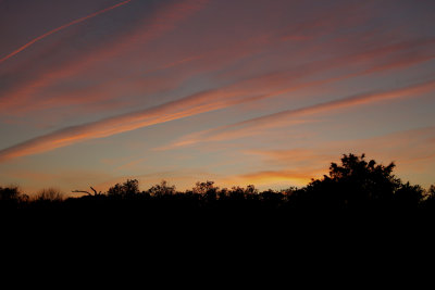 LX7O1316.jpg