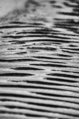 _E5R5751-Edit.jpg