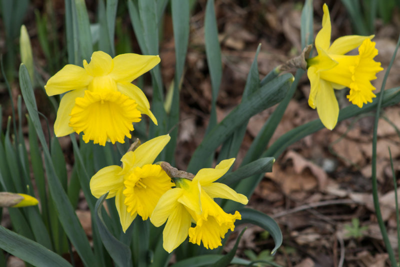 04-05-2014 051.jpg