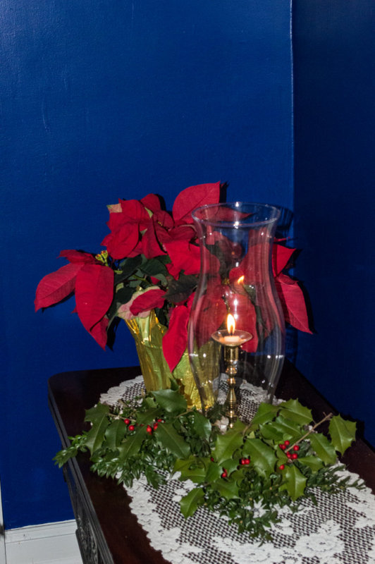12-13-2014 083.jpg