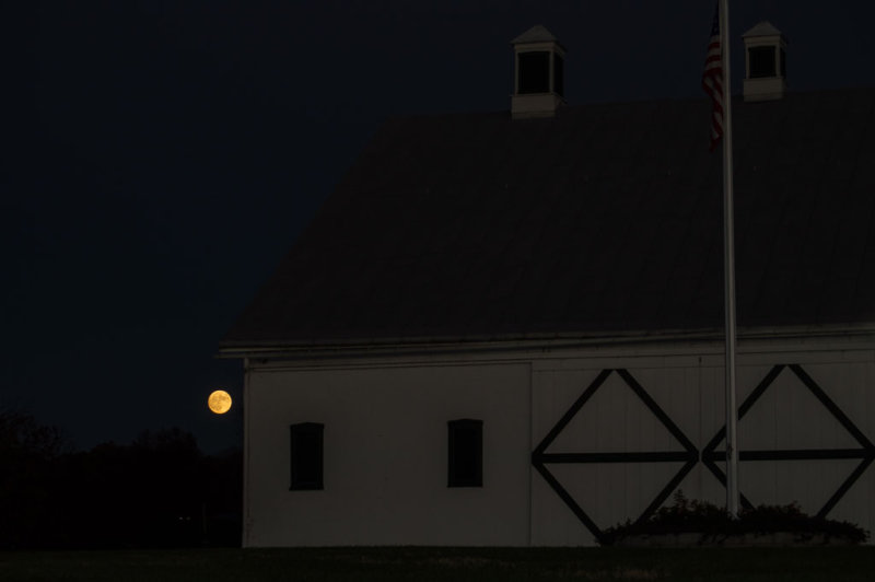 DSC_0034.jpg